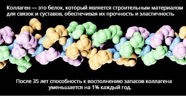 Для чего нужен коллаген и зачем его принимать: 7 полезных свойств коллагена для организма