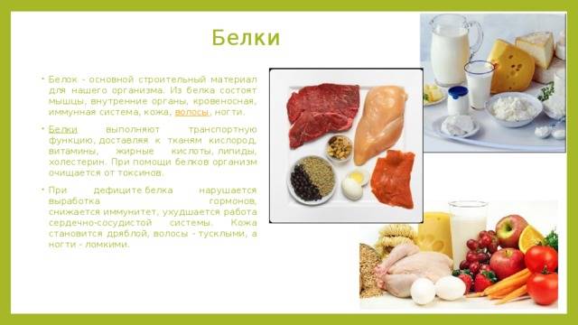 Вред белковой диеты: кому противопоказана, в чем опасность для организма женщин | диеты и рецепты