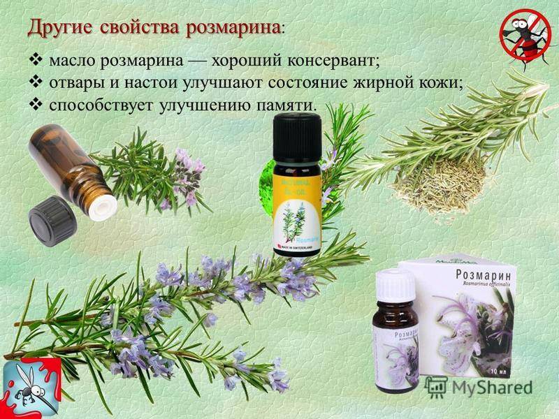 Продукты для улучшения работы мозга