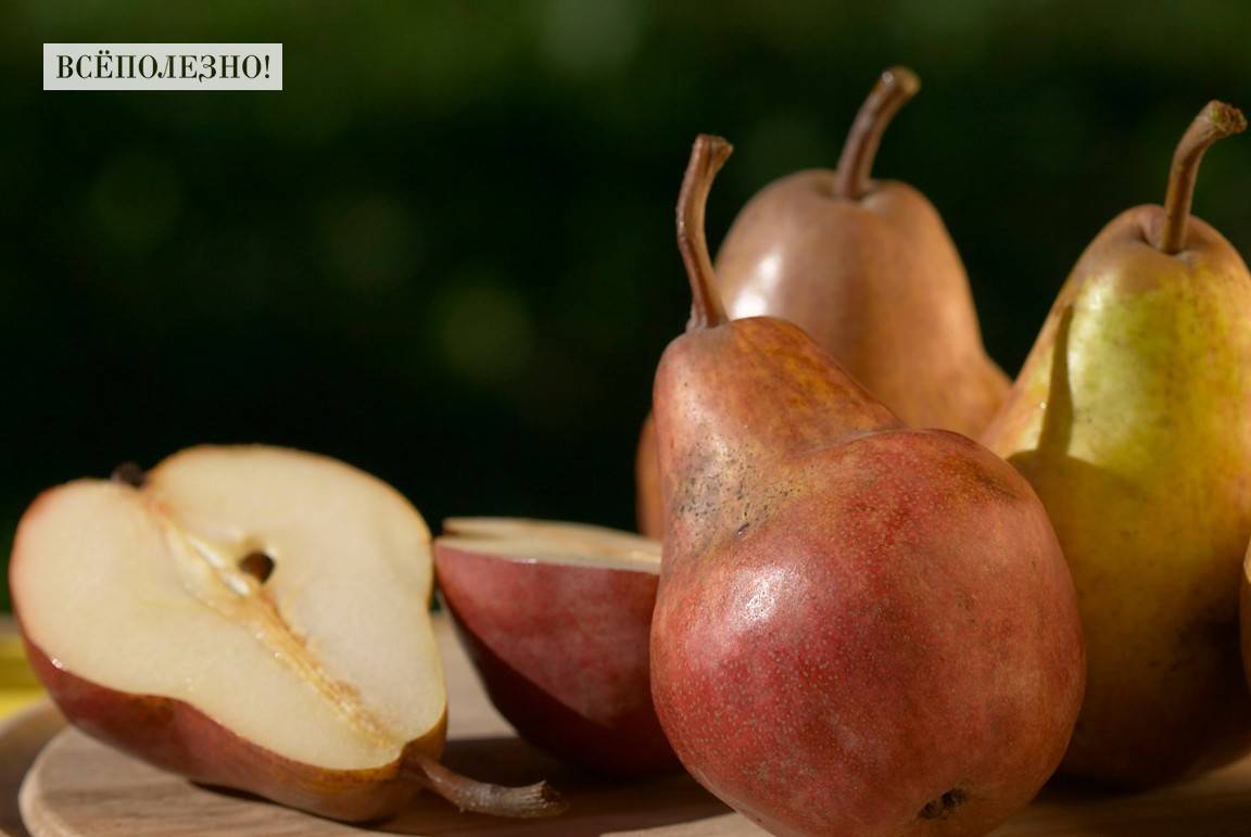 Груши: польза и вред для организма человека
