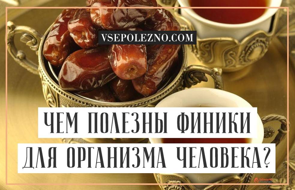 Финики: польза и вред для организма, сколько нужно съесть для здоровья