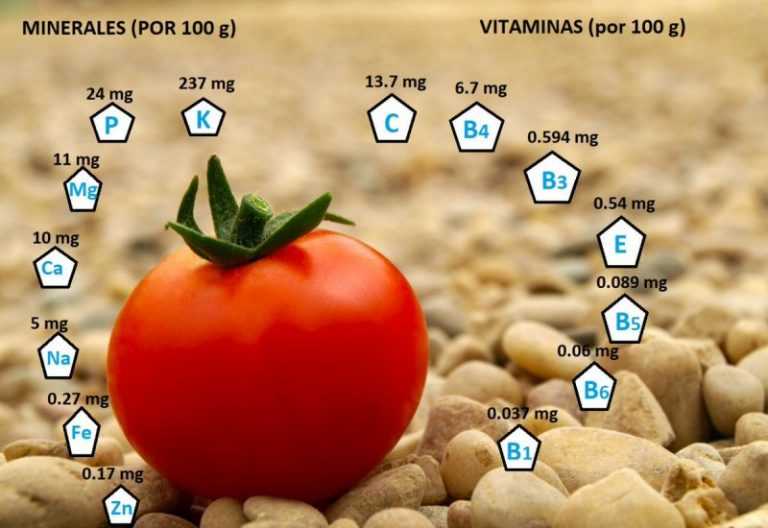 Помидоры: состав, польза, противопоказания, применение   | народные знания от кравченко анатолия