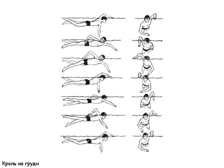 Как плавать кролем схема
