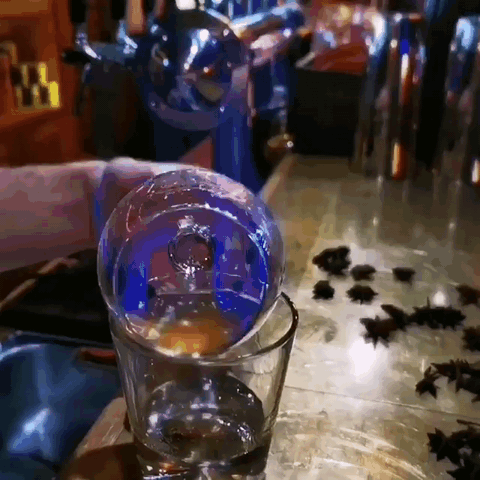 Самбука — состав, что это за напиток