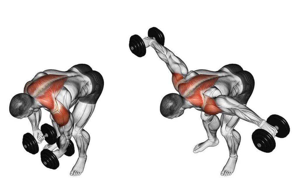 Разведение гантелей в стороны. виды упражнения+техника выполнения