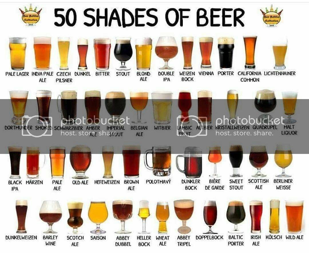 Чем отличается пиво от пивного. Пиво и Эль различия.