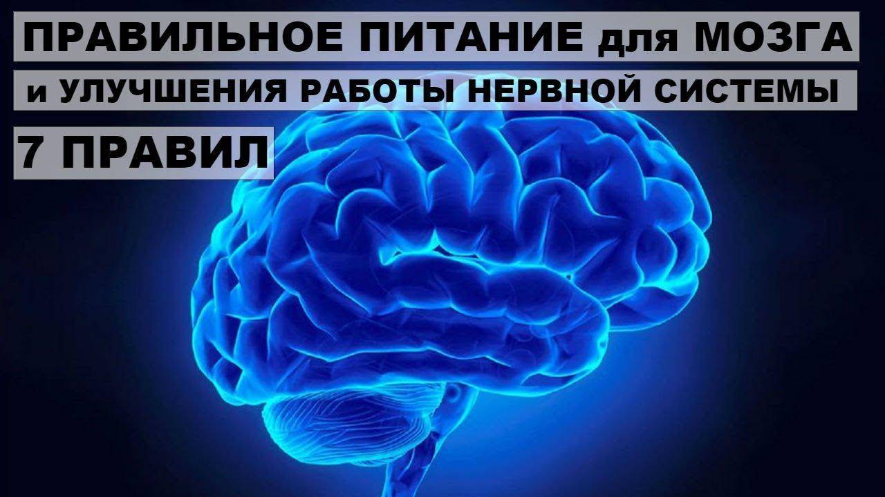 Brain 84. Питание для мозга. Пища для мозга и нервной системы. Орехи для мозга. Математика влияет на мозг.