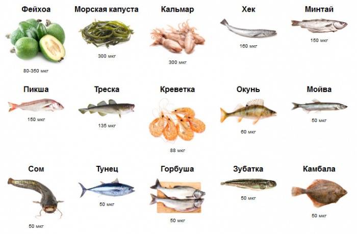 Продукты питания богатые йодом (i)