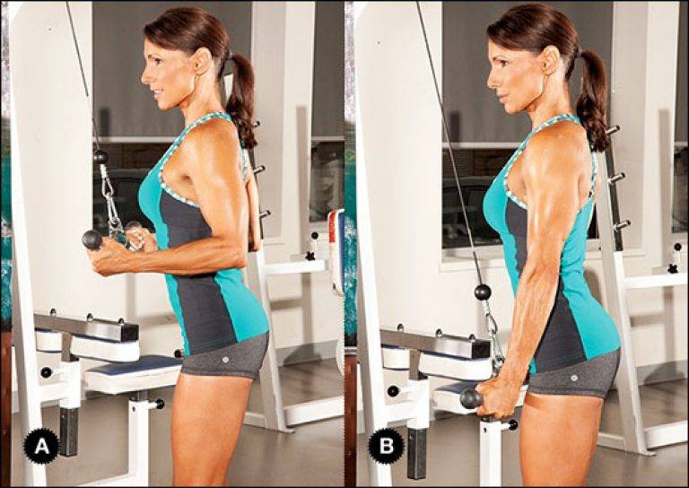 Разгибание рук на блоке - техника выполнения. | proka4aem.ru