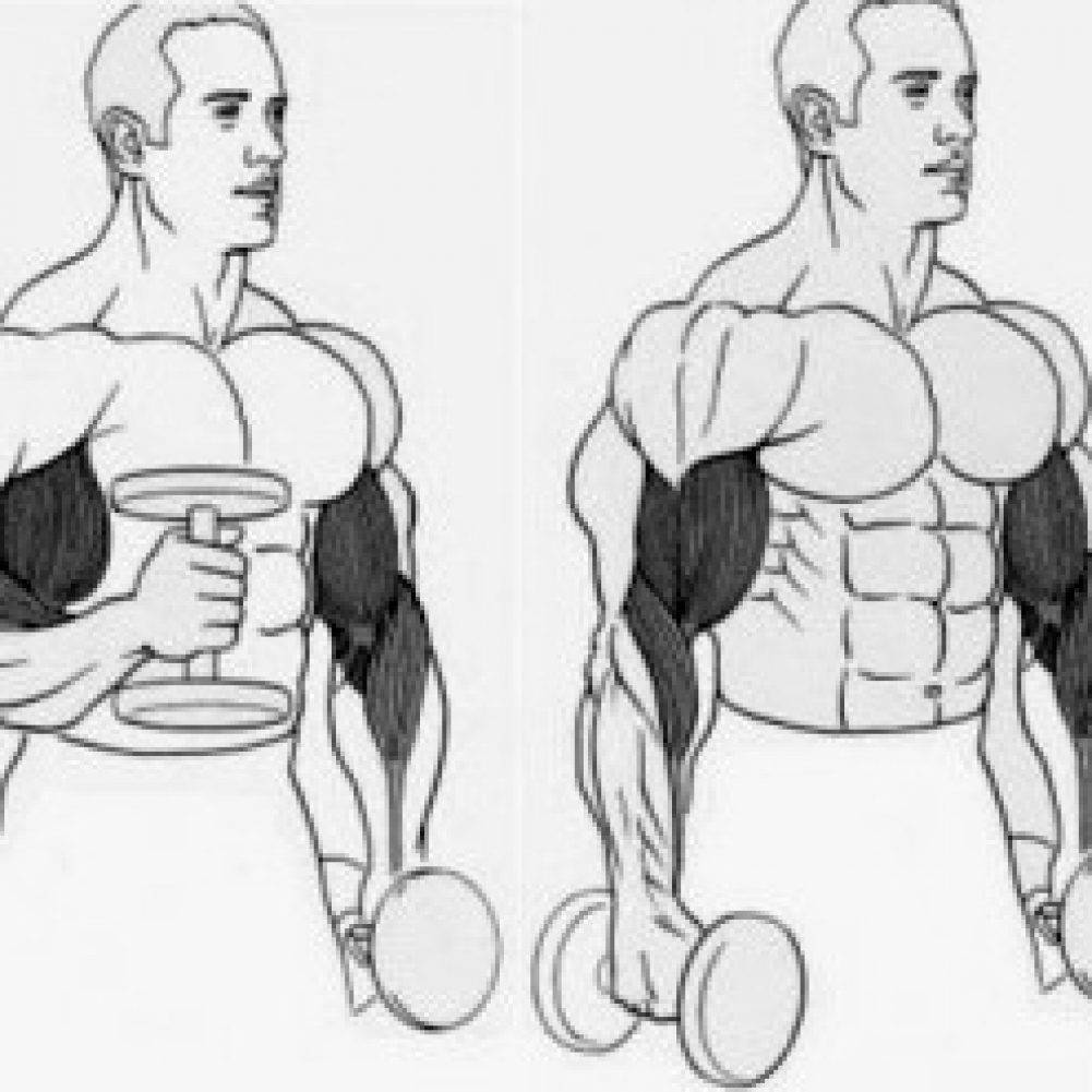 Накачать руки гантелями дома. Упражнения на брахиалис. Подъем гантелей на бицепс с супинацией. Прокачать брахиалис. Упражнения для накачивания бицепса.