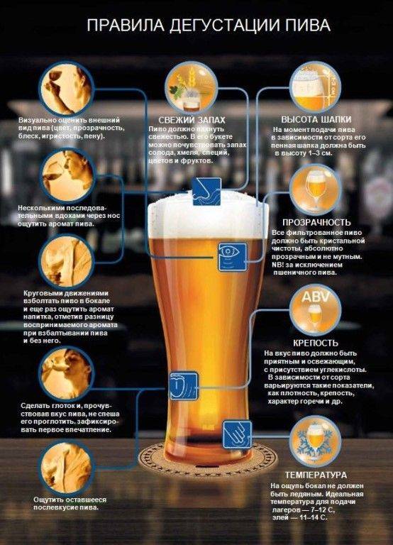 Пивной напиток: отличие от пива