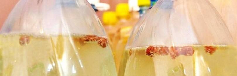 Вино из березового сока в домашних условиях: рецепт