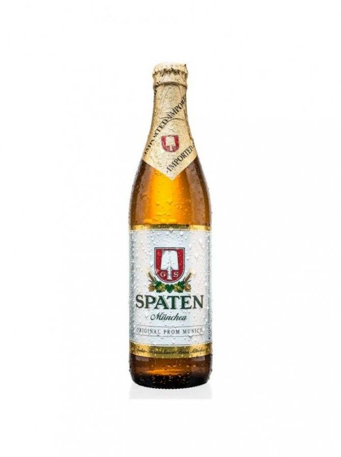 Австрийское пиво: полный обзор, отзывы. какое пиво самое вкусное