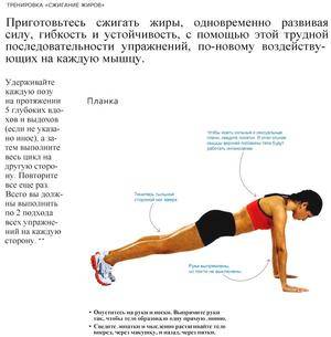 Зожник | кардио на голодный желудок и жиросжигание