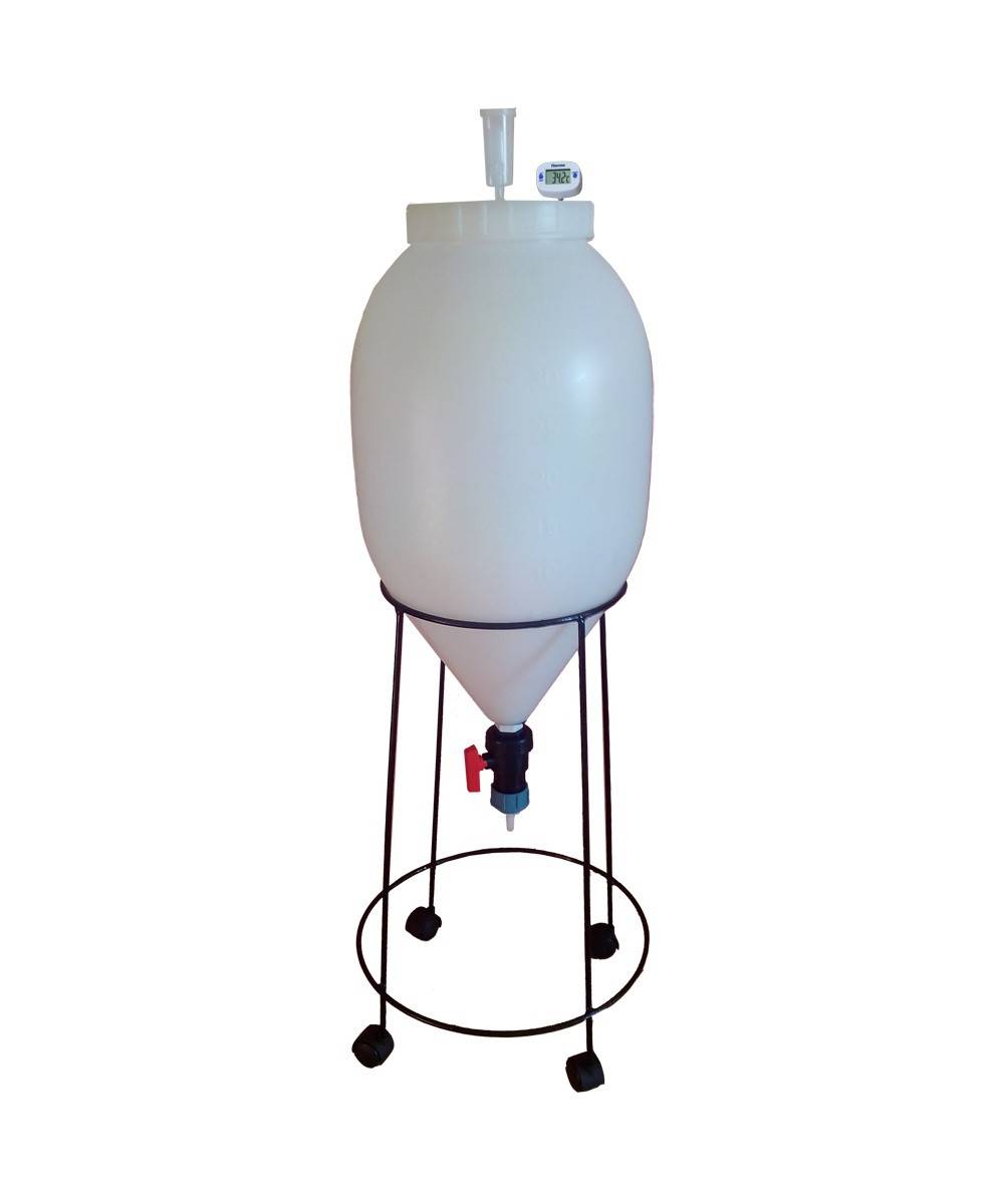 Сброженные соки: 5 рецептов в домашних условиях