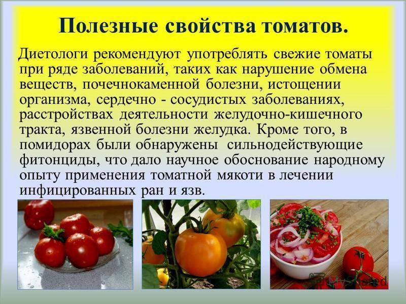 Можно ли в год помидоры. Чем полезны помидоры. Чем полезны помидоры для организма. Полезные свойства помидора. Полезные свойства томатов.