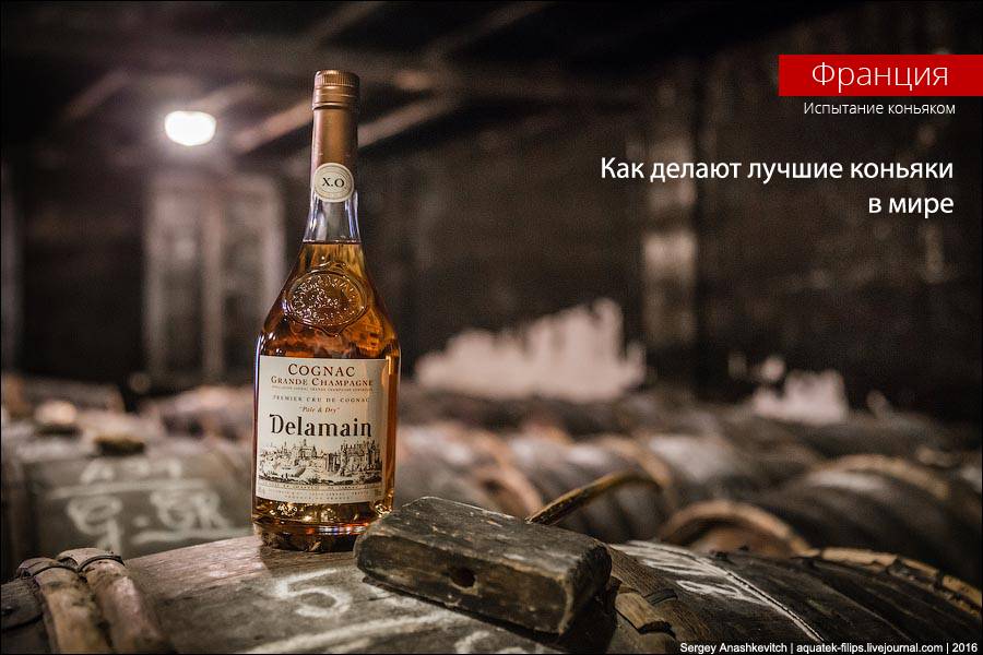Коньяк camus: история, специфика, обзор видов и вкуса + интересные факты