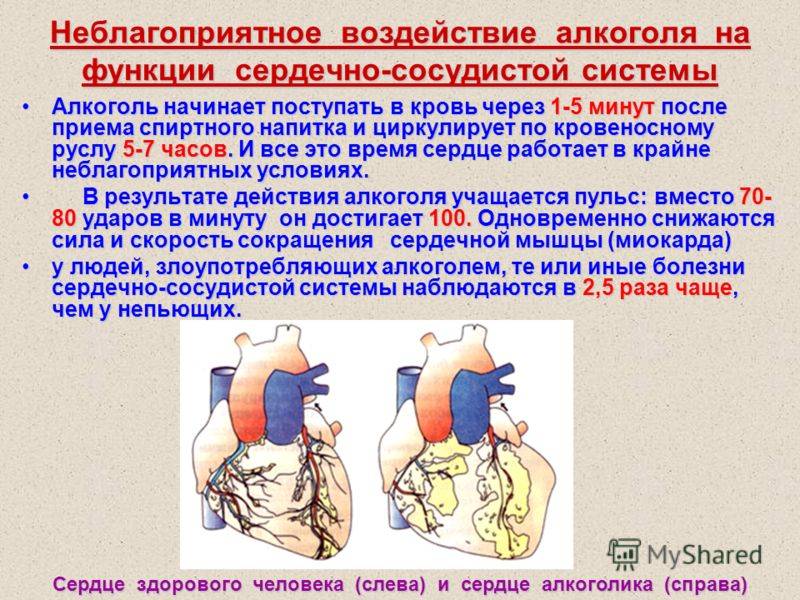 Сосудистые влияния. Влияние алкоголя на сердечно-сосудистую систему. Алкоголь и сердечно сосудистая система. Воздействие алкоголя на сердечно сосудистую систему. Влияние алкоголя на сердце и кровеносные сосуды.