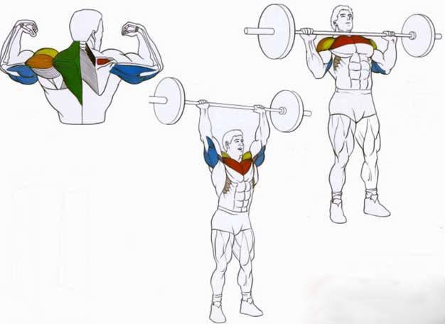 Подъем штанги на грудь: техника выполнения, какие мышцы работают