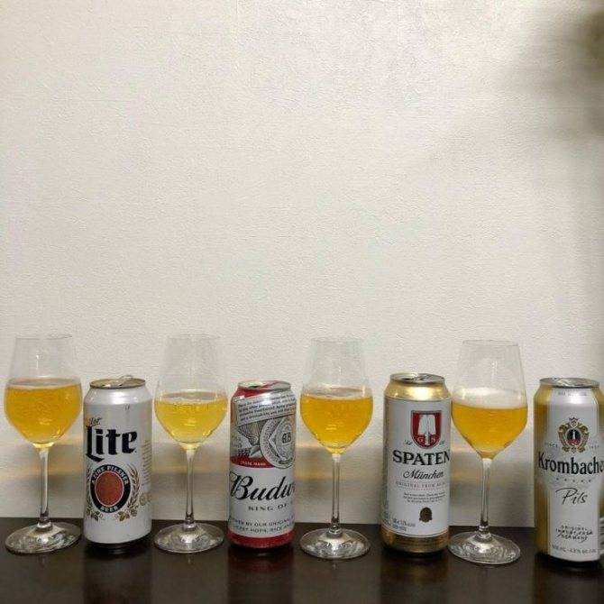 Пиво францисканер: обзор вкуса и видов