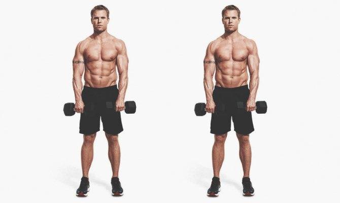 Жим гантелей сидя: техника выполнения, работающие мышцы, ошибки