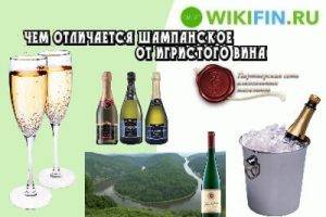 Чем отличается игристое вино от шампанского. Разница шампанского и игристого вина. Игристое вино и шампанское разница. Чем отличается шампанское от игристого вина. Отличие вин от шампанского.