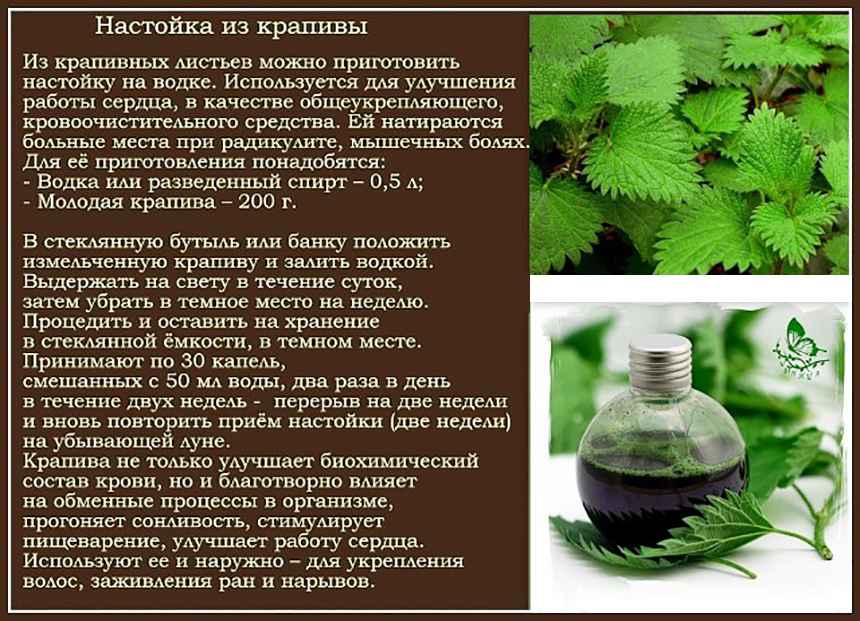 Как и с чем пьют настойки