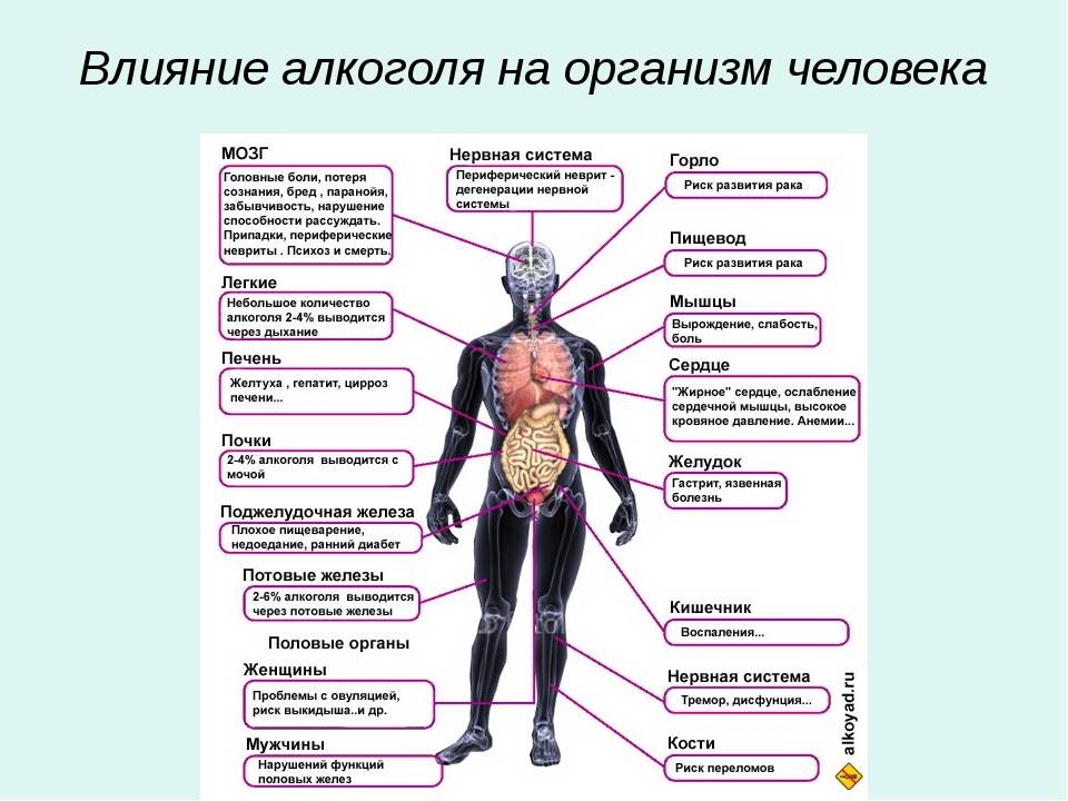 Не пьянею от алкоголя: почему, рекомендации по употреблению