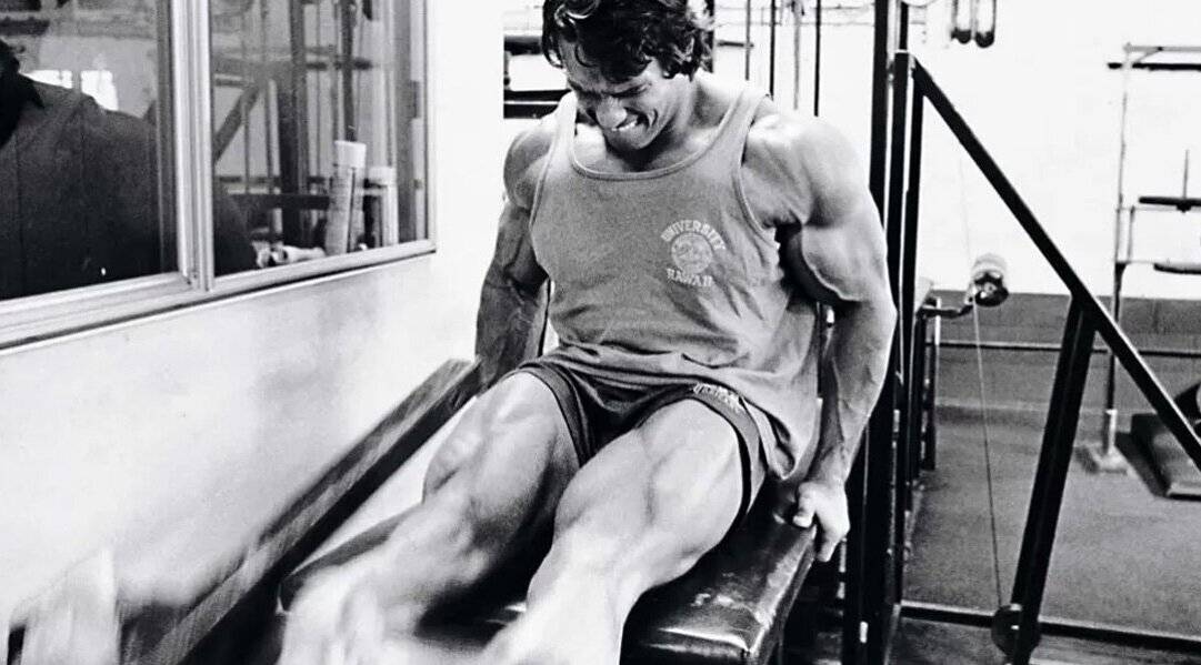 Биография арнольда шварценеггера (arnold shvarcenegger)