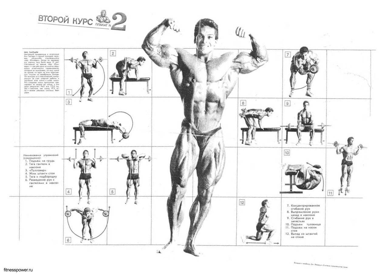 Джо уайдер: “я придумал бодибилдинг” | livasteel