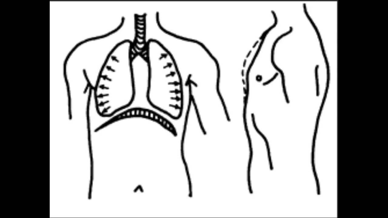 Дыхание для похудения живота: польза и результат