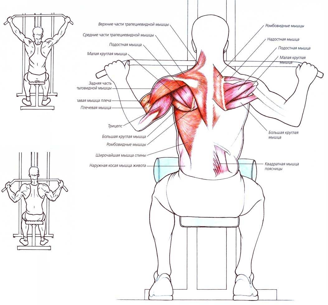 Становая тяга со штангой: как правильно делать?