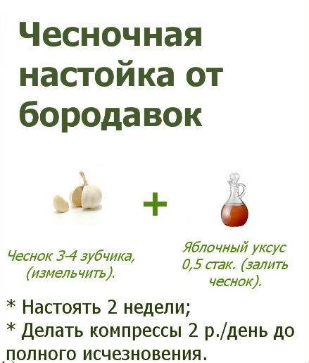 Метод шевченко – поможет или навредит в борьбе с раком? - победи рак