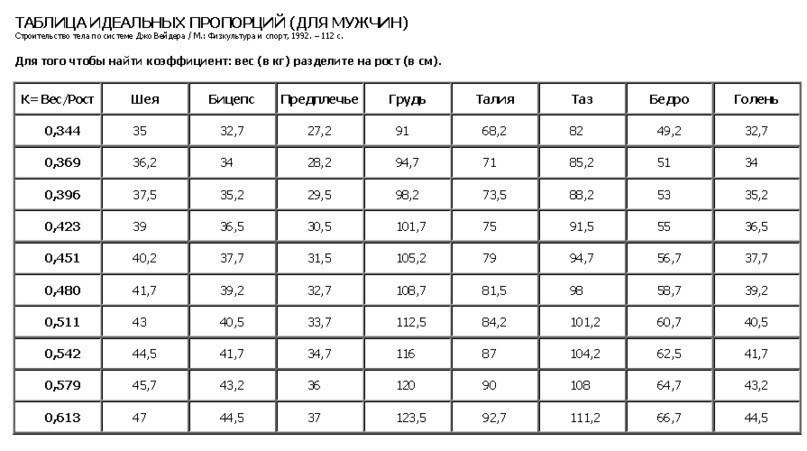 Какая фигура считается идеальной для девушки, женщины