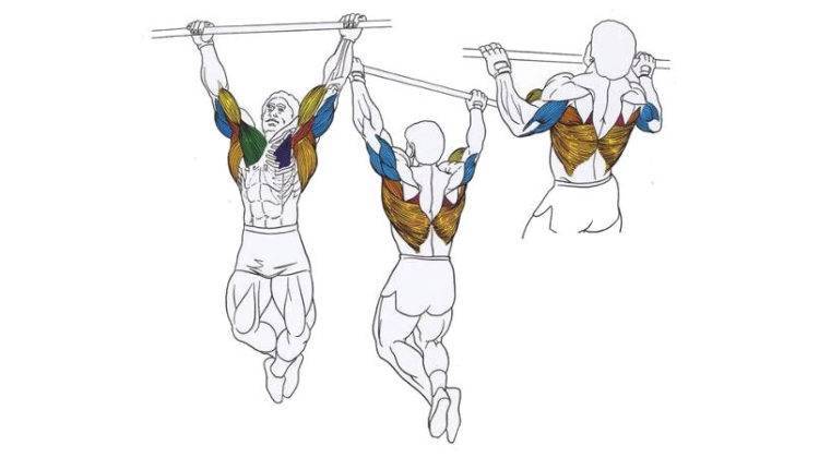 Подтягивания широким хватом