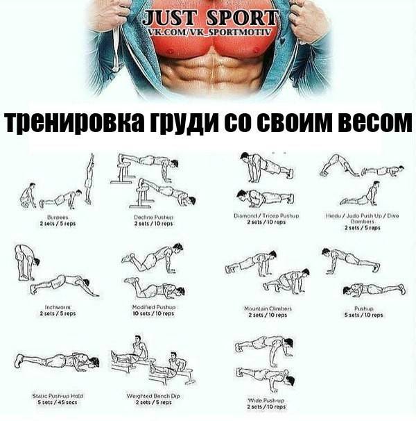 Как накачать мышцы спины: программа тренировок и лучшие упражнения на спину в тренажерном зале для увеличения ширины и массы