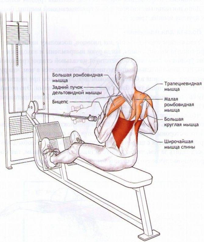 Горизонтальная рычажная тяга сидя
