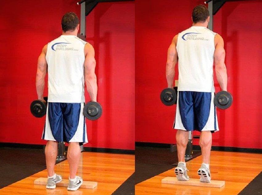 Выпады с гантелями в руках: техника выполнения упражнения