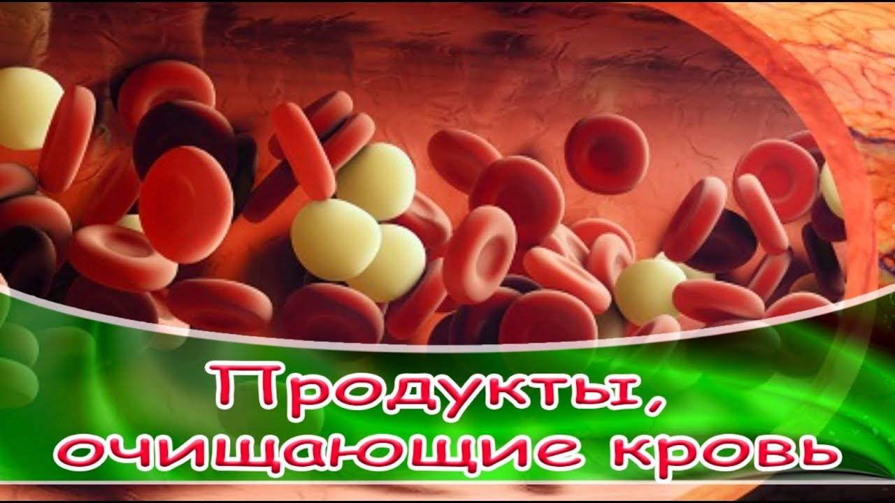 Таблица продуктов и медикаментов которые разжижают кровь и нормализуют кровообращение