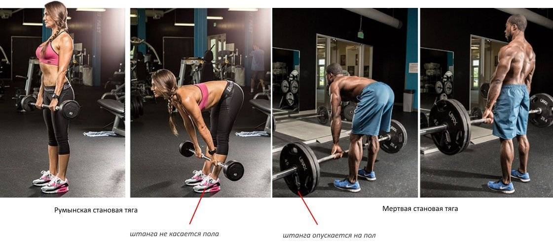 Румынская тяга на одной ноге: особенности и техника выполнения