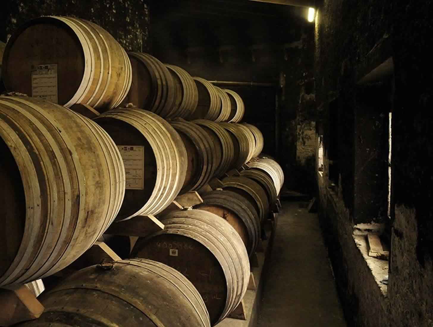 Пиво бад: история, особенности, виды