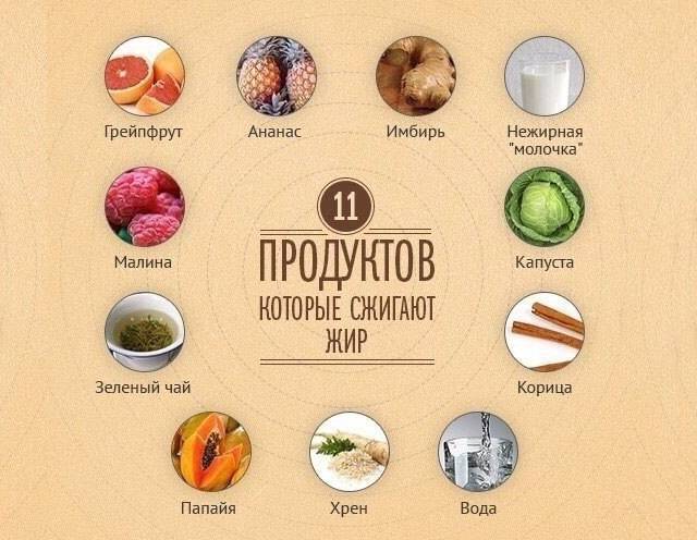 Основной список продуктов с отрицательной калорийностью