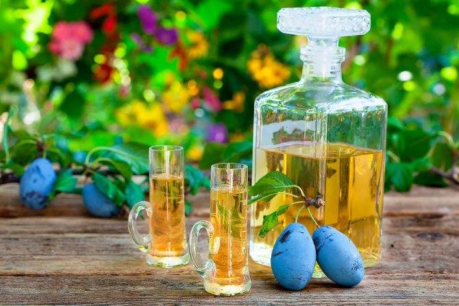 Алкогольный напиток ракия: виды, рецепты приготовления, коктейли