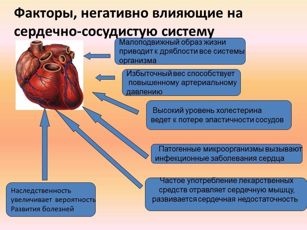 Ишемия мышц. Факторы негативно влияющие на сердечно-сосудистую систему. Факторы негативно влияющие на ССС. Памятка гигиена сердечно сосудистой системы. Факторы негативно влияющие на сосудистую систему.