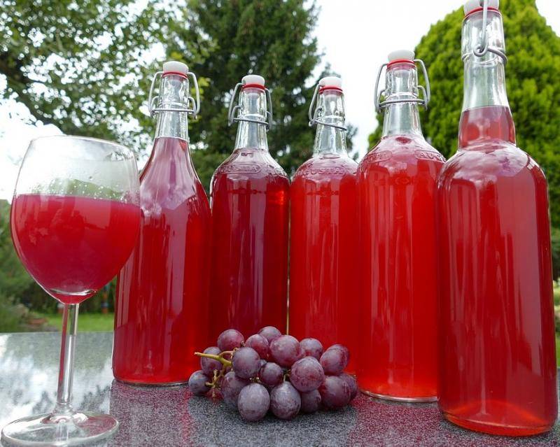 Ревень - рецепты