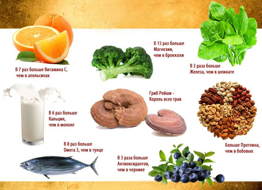 Гриб рейши: полезные свойства и противопоказания, применение