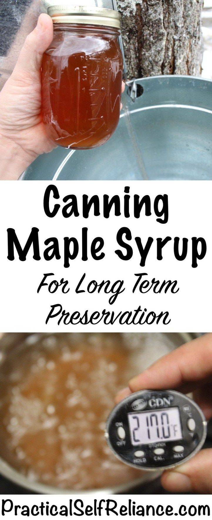 Яблочный сироп — состав, тонкости приготовления, проверенный пошаговый рецепт с фото