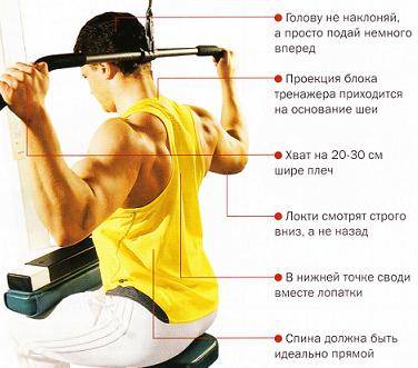 Тяга верхнего блока за голову сидя