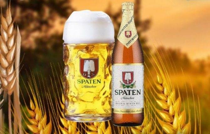 Ликер доктор август: обзор и виды