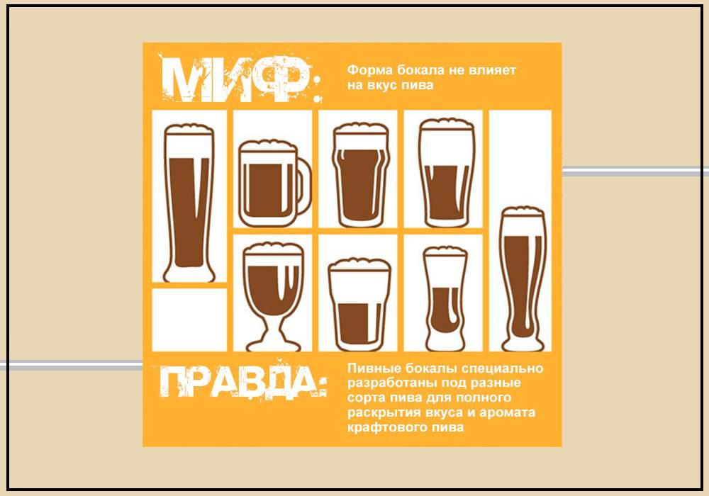 Отличие пива от пивного напитка